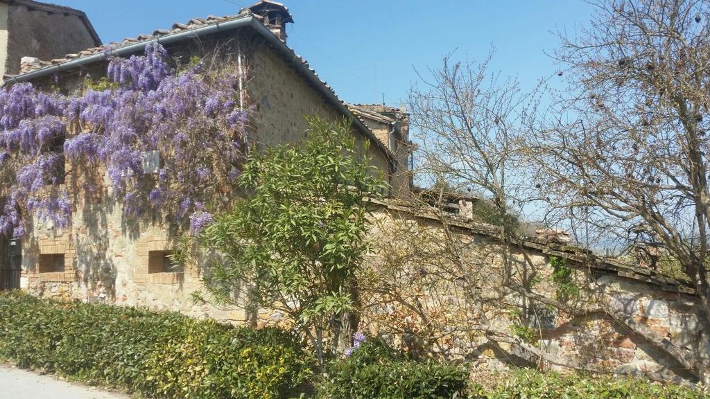 Casa Vacanze Borgolozzi Villa Sovicille Eksteriør bilde